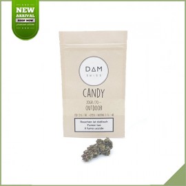 CannabisBlüten CBD Dam Swiss Candy