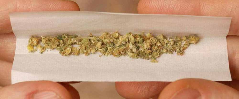 Pourquoi fumer son joint de cannabis cbd pure
